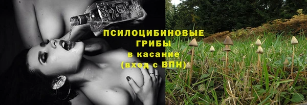 не бодяженный Красноперекопск