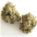 Шишки "White Widow"  (Белая вдова)  Гидропоника -  Бошка VHQ в Лаишево